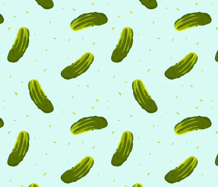 Pickle+Pattern