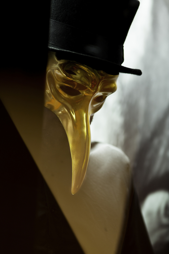 13_Claptone 2015 by Neda Rajabi