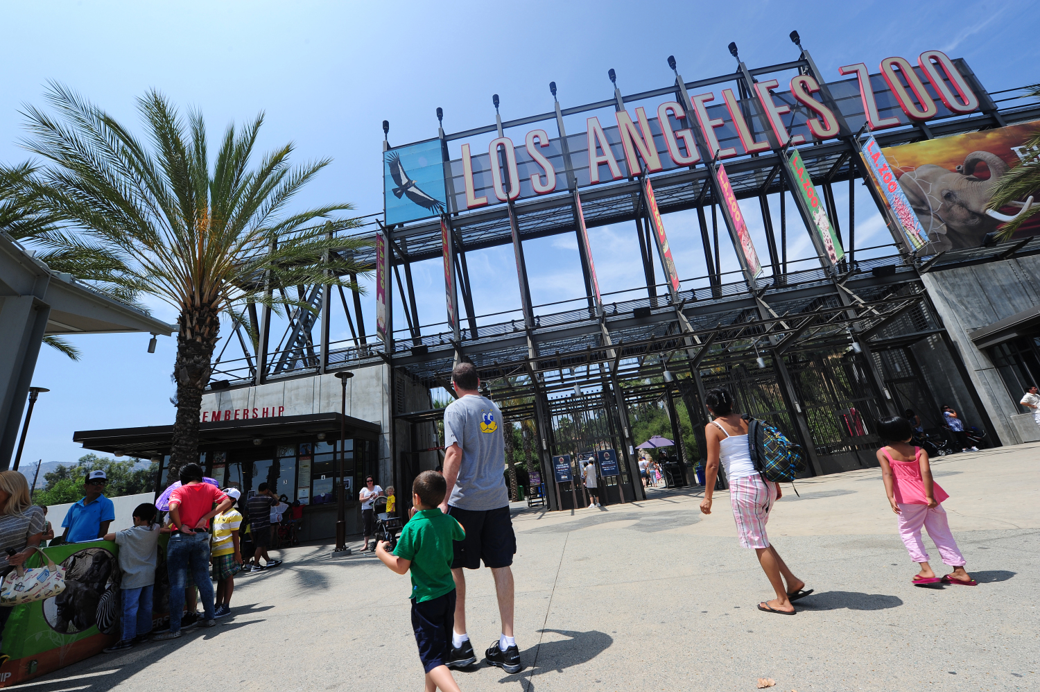 Poor Air Quality Prompts 2-Day Closure Of Los Angeles Zoo