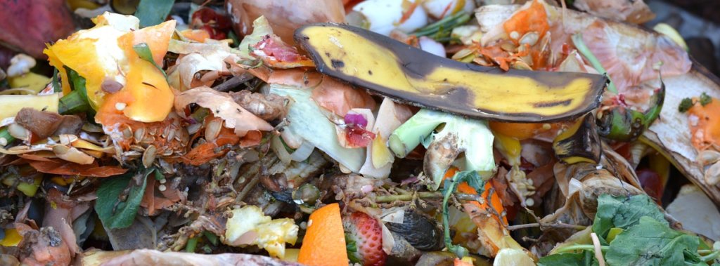 CAP/ Across the globe, one-third of all food produced for human consumption is lost or wasted. How can we tackle this massive environmental problem? One might argue: it starts with composting. — Courtesy photo.