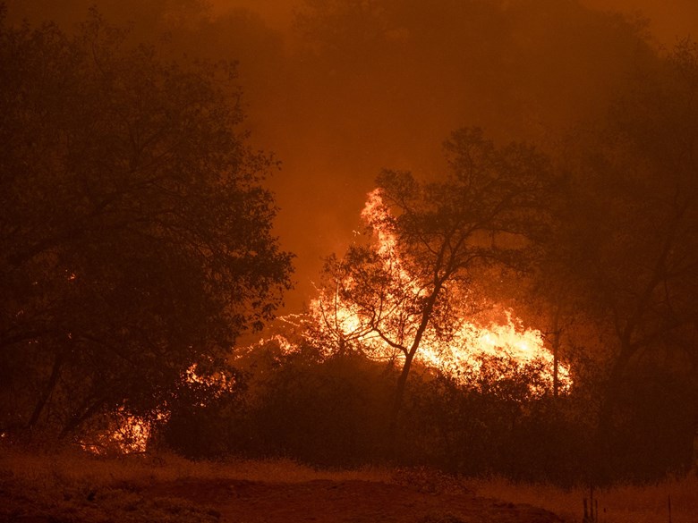 Northern California Wildfires: Where To Find Updates On Air Quality, Evacuations, And Official Information