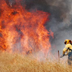 Crews battle 2 fires in the San Fernando Valley amid record heat