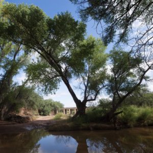 Environmental group sues Fort Huachuca to release documents about harm to river