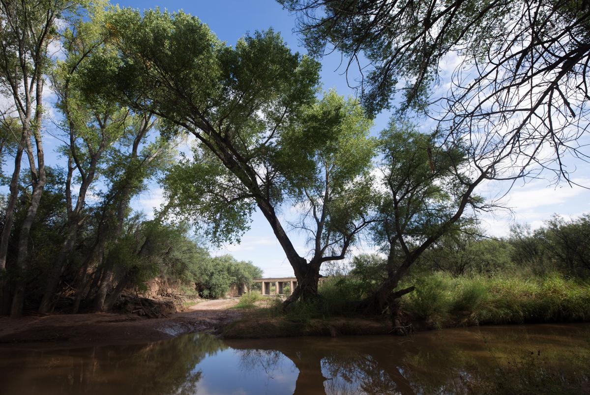 Environmental group sues Fort Huachuca to release documents about harm to river