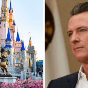 What is the CA Gov. Looking to Learn From Disney World?