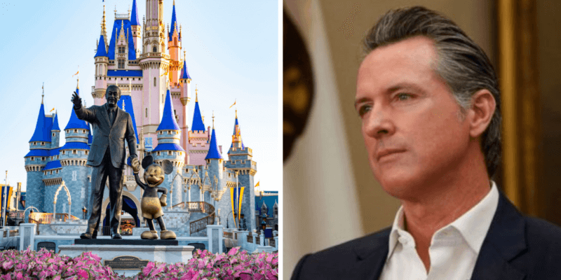 What is the CA Gov. Looking to Learn From Disney World?