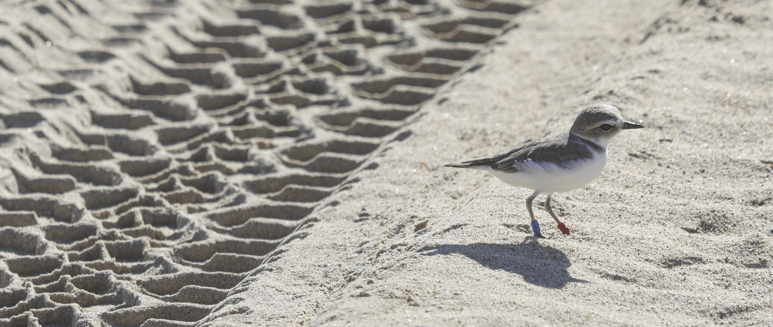 A 40-year conflict over a state park: Has it finally reached a breaking point?