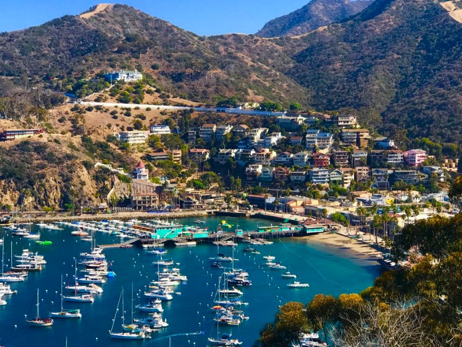 catalina island ocean view