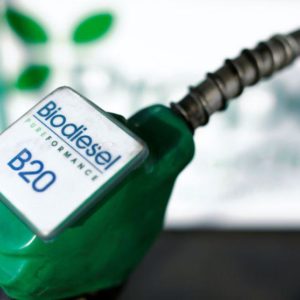 Biofuel leaders highlight policy, feedstock innovation in industry's future