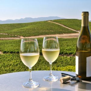 Wine Industry Sustainability Highlighted in Recent Report