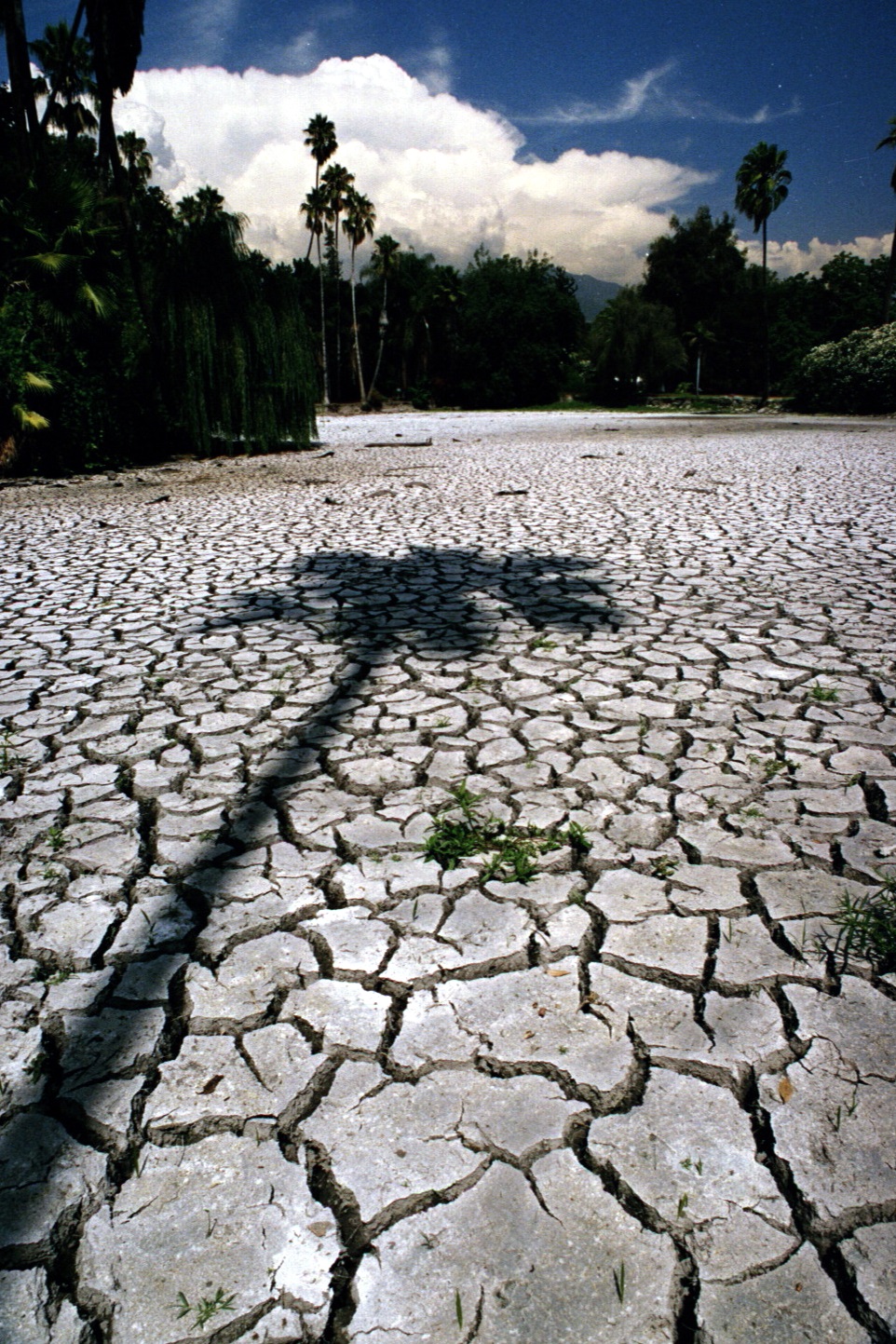 dry lake bed