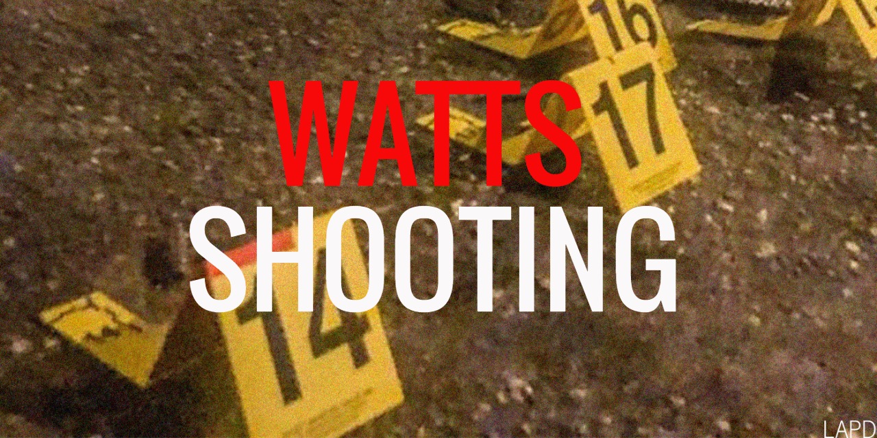 watts shooting