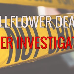 BELLFLOWER INVESTIGATION