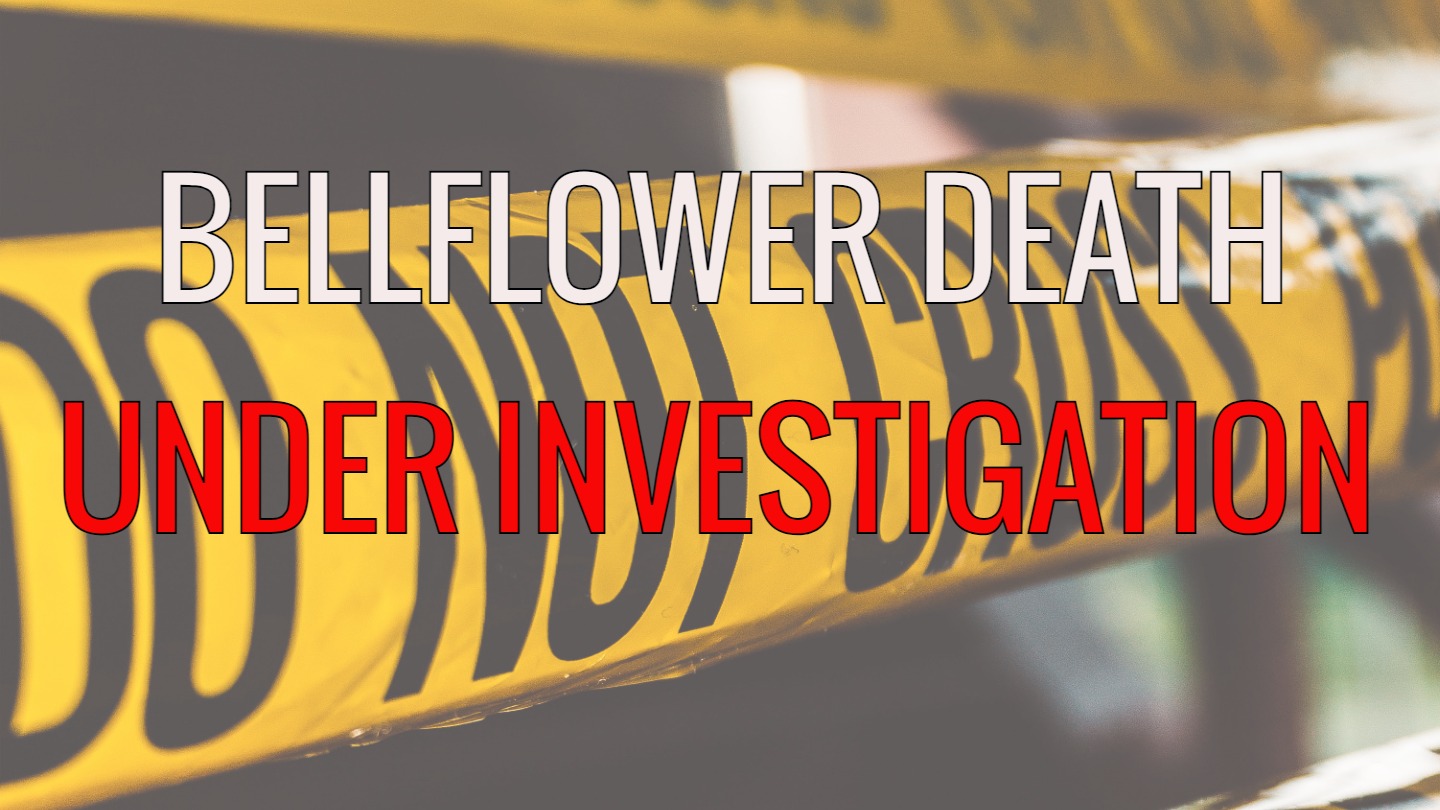 BELLFLOWER INVESTIGATION