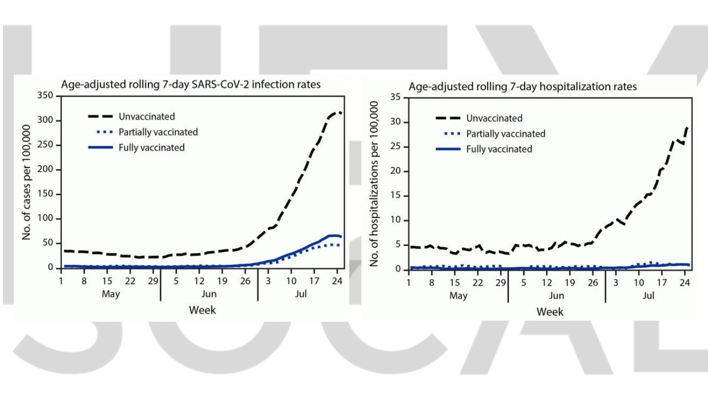Age-adjusted rolling 7-day SARS-CoV-2 infection and hospitalization rates, by vaccination status, in LA County