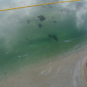 Huntington Beach oil spill