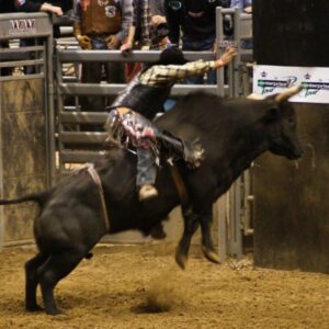 rodeo, rodeos, bull riding