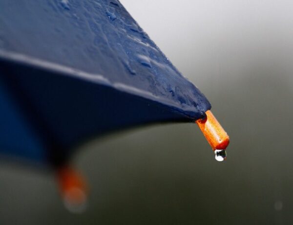 rain drop, umbrella