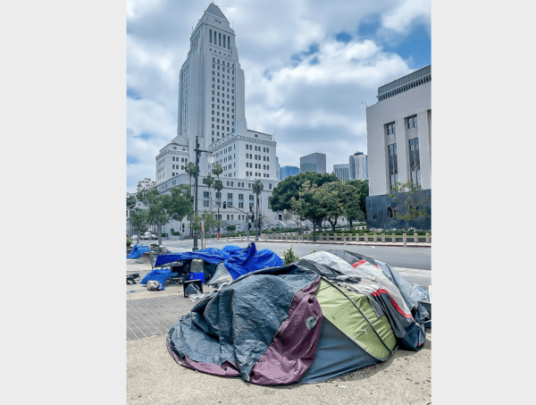 洛杉矶市议会宣布2024年1月22日至25日为“2024年无家可归者统计周”