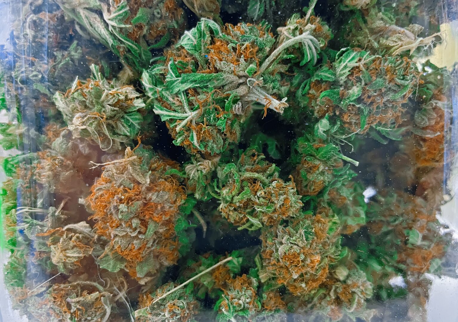 cannabis, buds