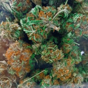 cannabis, buds