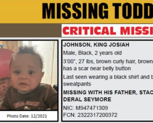missing, toddler, palmdale