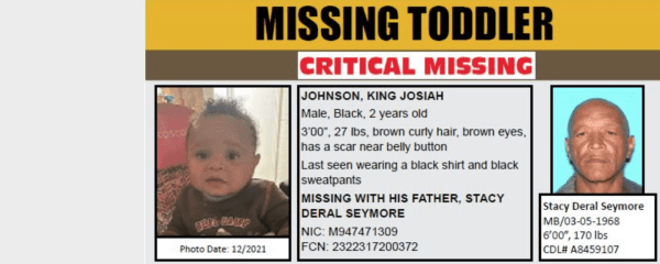 missing, toddler, palmdale