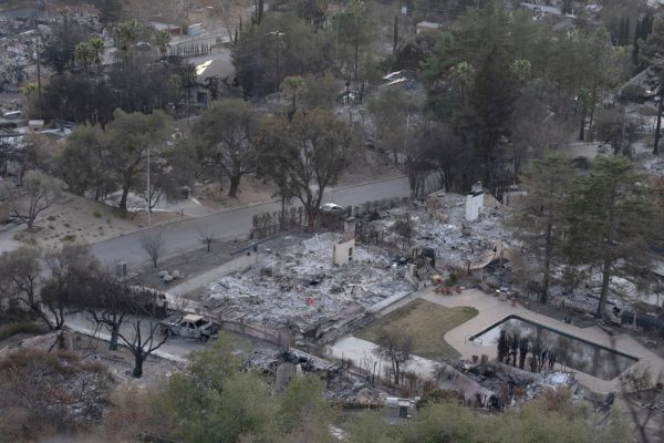 An aerial view shows at least three burned-down homes and charred trees in Altadena from the Eaton Fire.