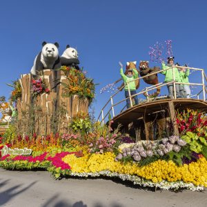 The top-honored float in the 2025 Rose Parade depicts the San Diego Zoo's new giant pandas and San Diego Zoo Wildlife Alliance team members Megan Owen and Jana Biedenweg and global conservationist Xiaoxing Bian.