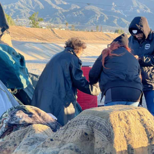 An individual living in an encampment speaks with 2024 Point-in-Time Count participants.