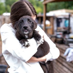 Volunteer in a white shirt holding a black and white puppy in an outdoor shelter setting.