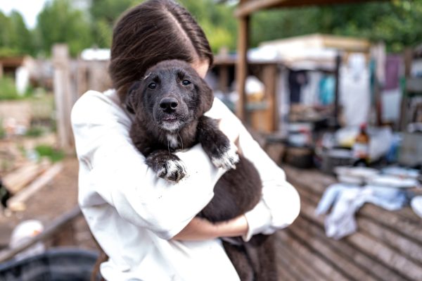 Volunteer in a white shirt holding a black and white puppy in an outdoor shelter setting.