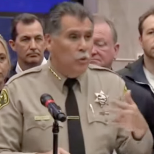 Sheriff Robert Luna reports looting in fire zones.