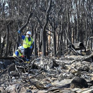 EPA workers search for hazardous materials to remove from a property destroyed during the January firestorm. | Photo courtesy of Lee Zeldin/X