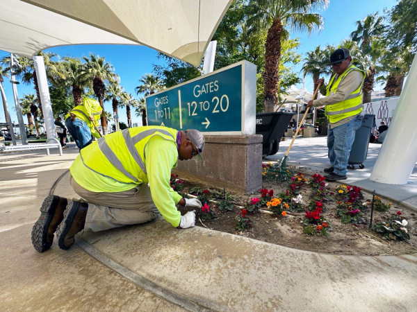 Workers do landscaping work at Palm Springs International Airport.