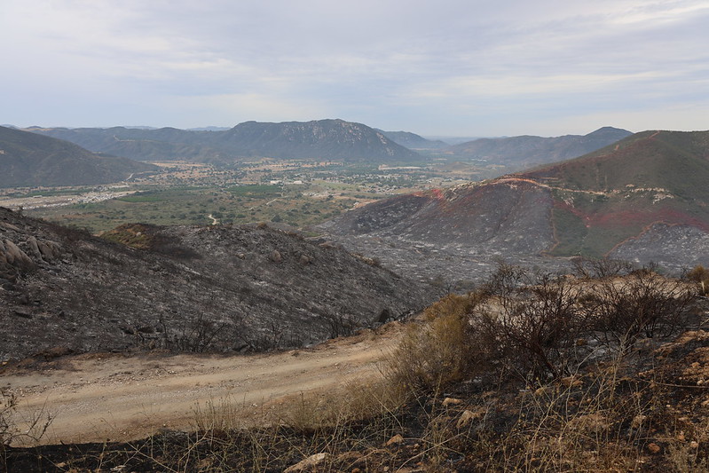 The Henderson Fire scorched 256 acres in San Diego and Riverside counties.