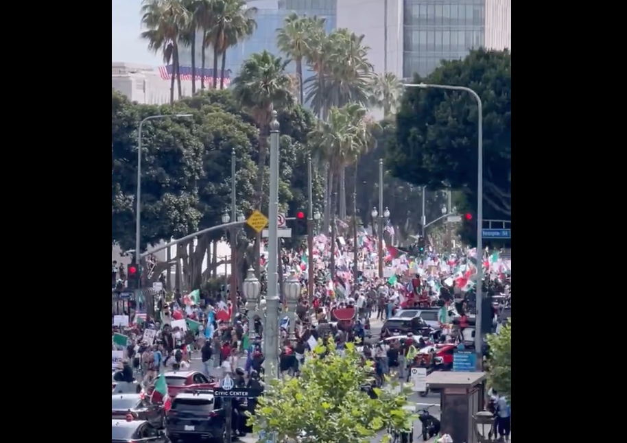 The No Kings protest fills the streets of the LA Civic Center on June 14, 2025.