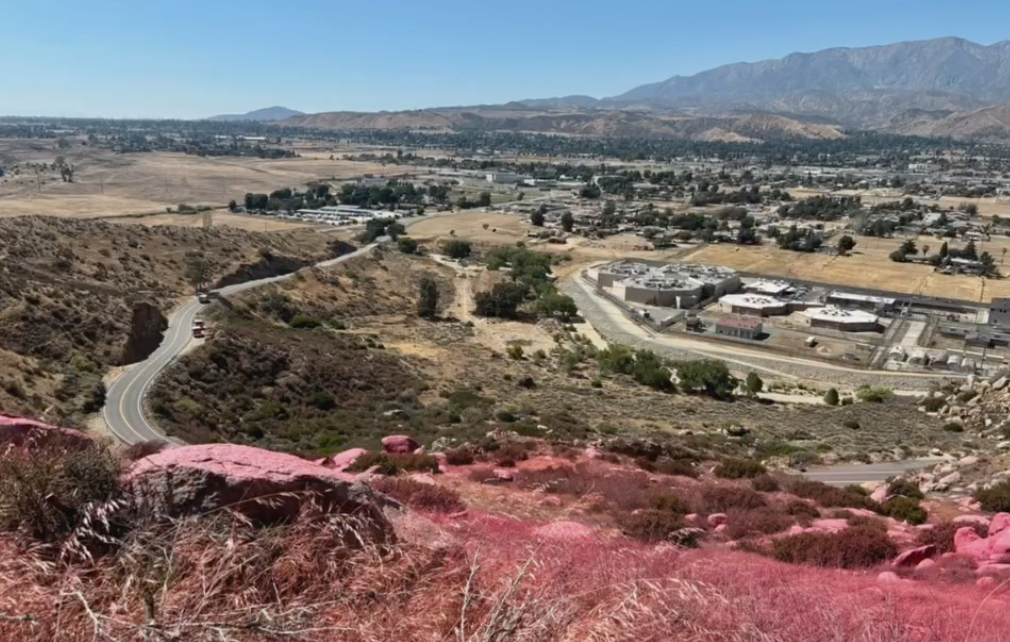 Pink fire retardant on the ground aims to protect this hill from the Wolf Fire.