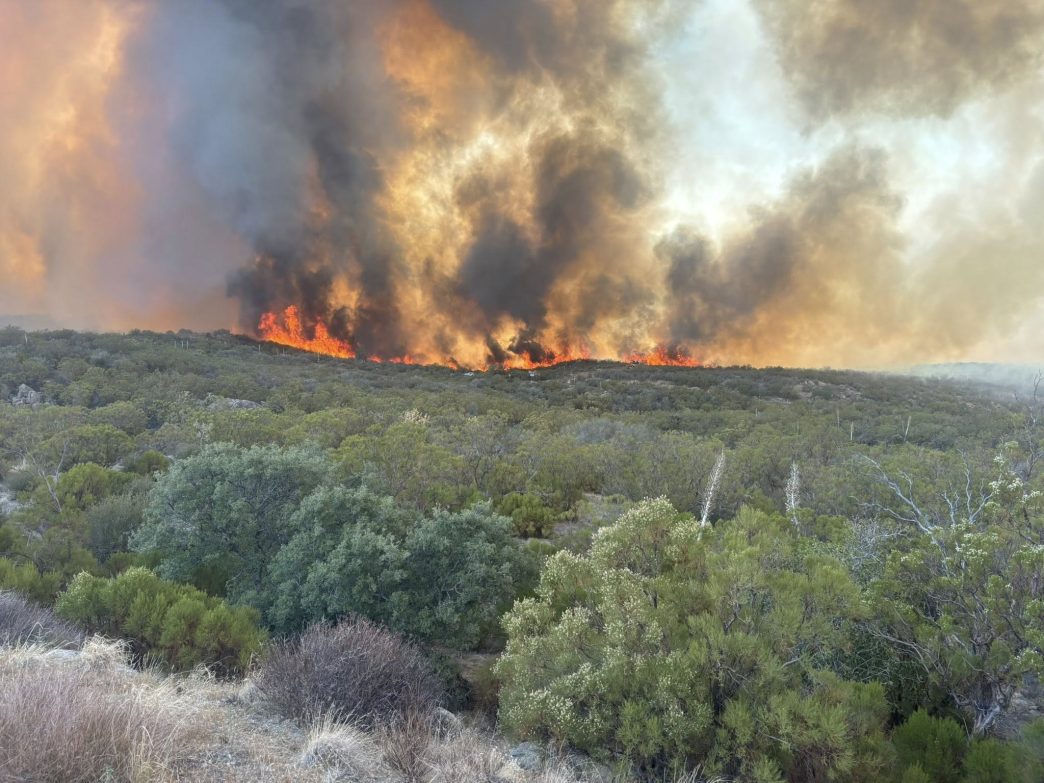 Flames from the Rosa Fire burn terrain near Highway 74 in Pinyon.