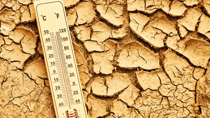 Cracked, dry, heat-hardened soil.