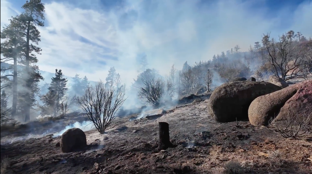 The Gold Fire's smoldering remains cover a hillside in the San Bernardino National Forest.
