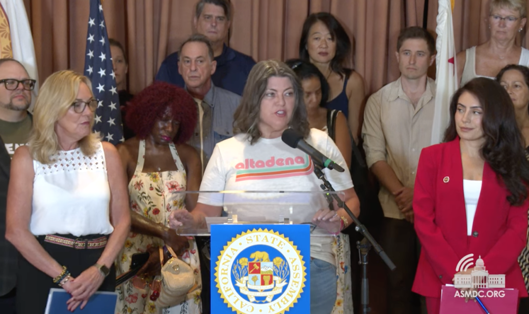 Victoria Knapp, chair of the Altadena Town Council, with lawmakers and area residents calls on the state Insurance Department to better expedite financial relief from insurers for wildfire survivors.