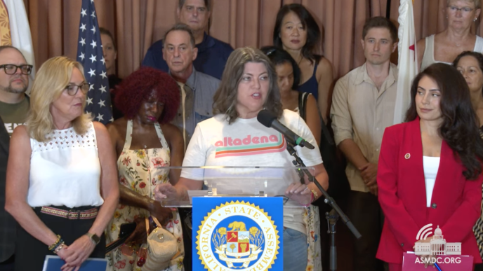 Victoria Knapp, chair of the Altadena Town Council, with lawmakers and area residents calls on the state Insurance Department to better expedite financial relief from insurers for wildfire survivors.