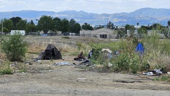 A county resident experiencing homelessness camps in a field near the 210 Freeway and Highland Avenue in San Bernardino.