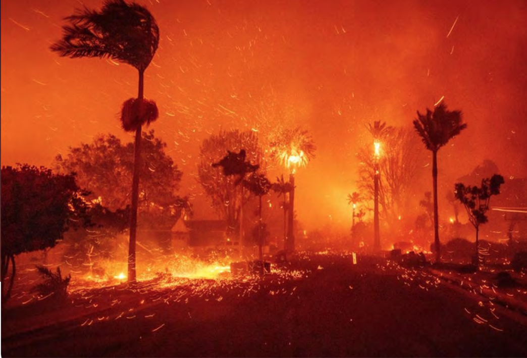 The January firestorm devastates an LA County street.