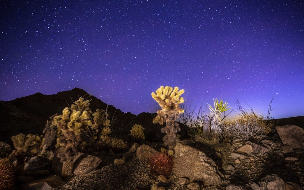 The Chuckwalla National Monument is a prime location for stargazing.