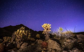 The Chuckwalla National Monument is a prime location for stargazing.