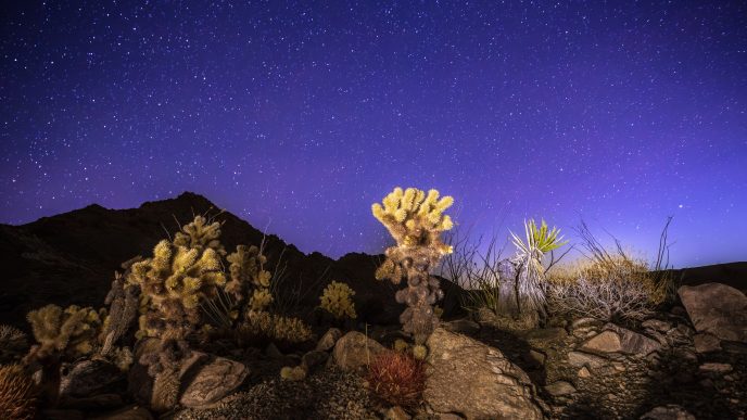 The Chuckwalla National Monument is a prime location for stargazing.