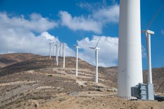 Wind turbines generate electricity.