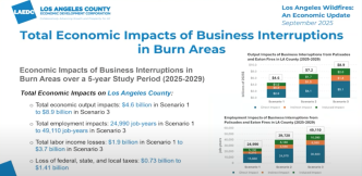 LA wildfire economic impacts.